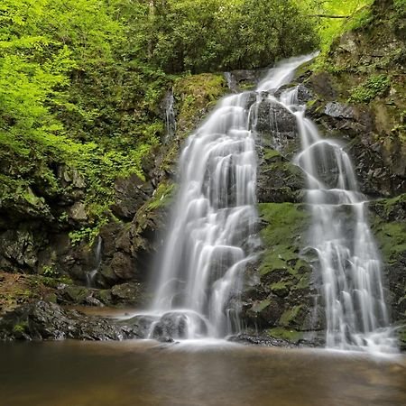 Hidden Memories, Hot Tub, 1089 Of Free Attraction Tickets For Each Paid Day, Dollywood And More Gatlinburg Eksteriør bilde