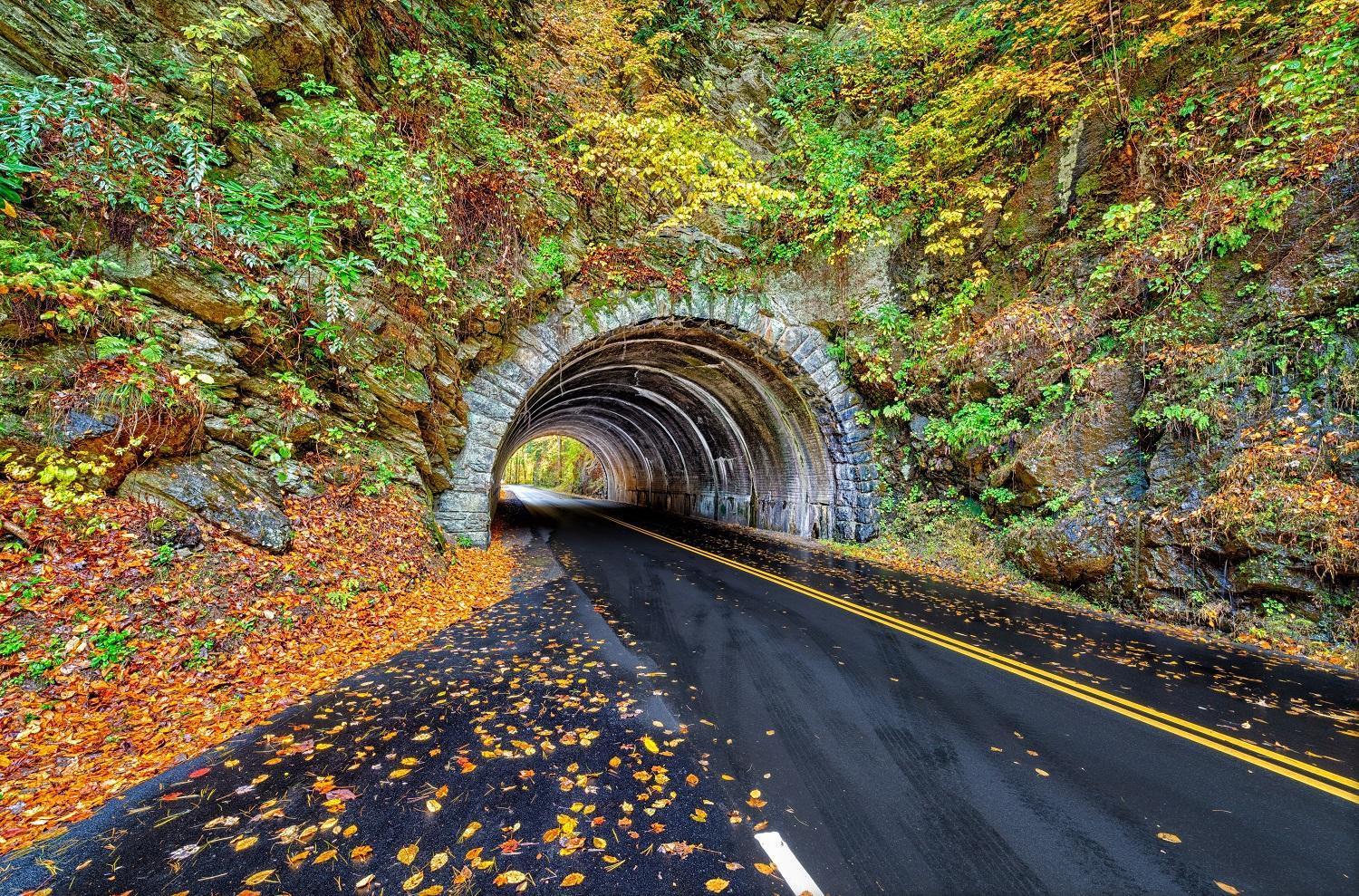 Hidden Memories, Hot Tub, 1089 Of Free Attraction Tickets For Each Paid Day, Dollywood And More Gatlinburg Eksteriør bilde