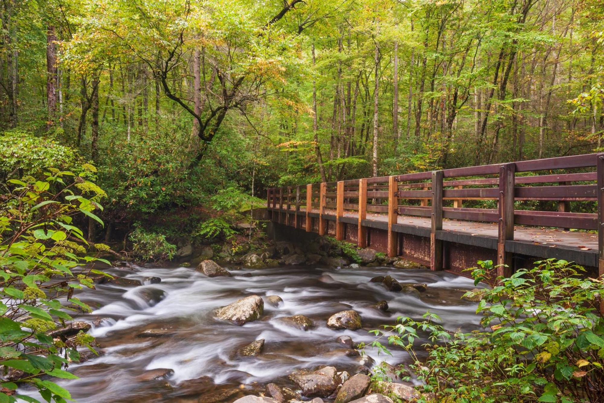 Hidden Memories, Hot Tub, 1089 Of Free Attraction Tickets For Each Paid Day, Dollywood And More Gatlinburg Eksteriør bilde