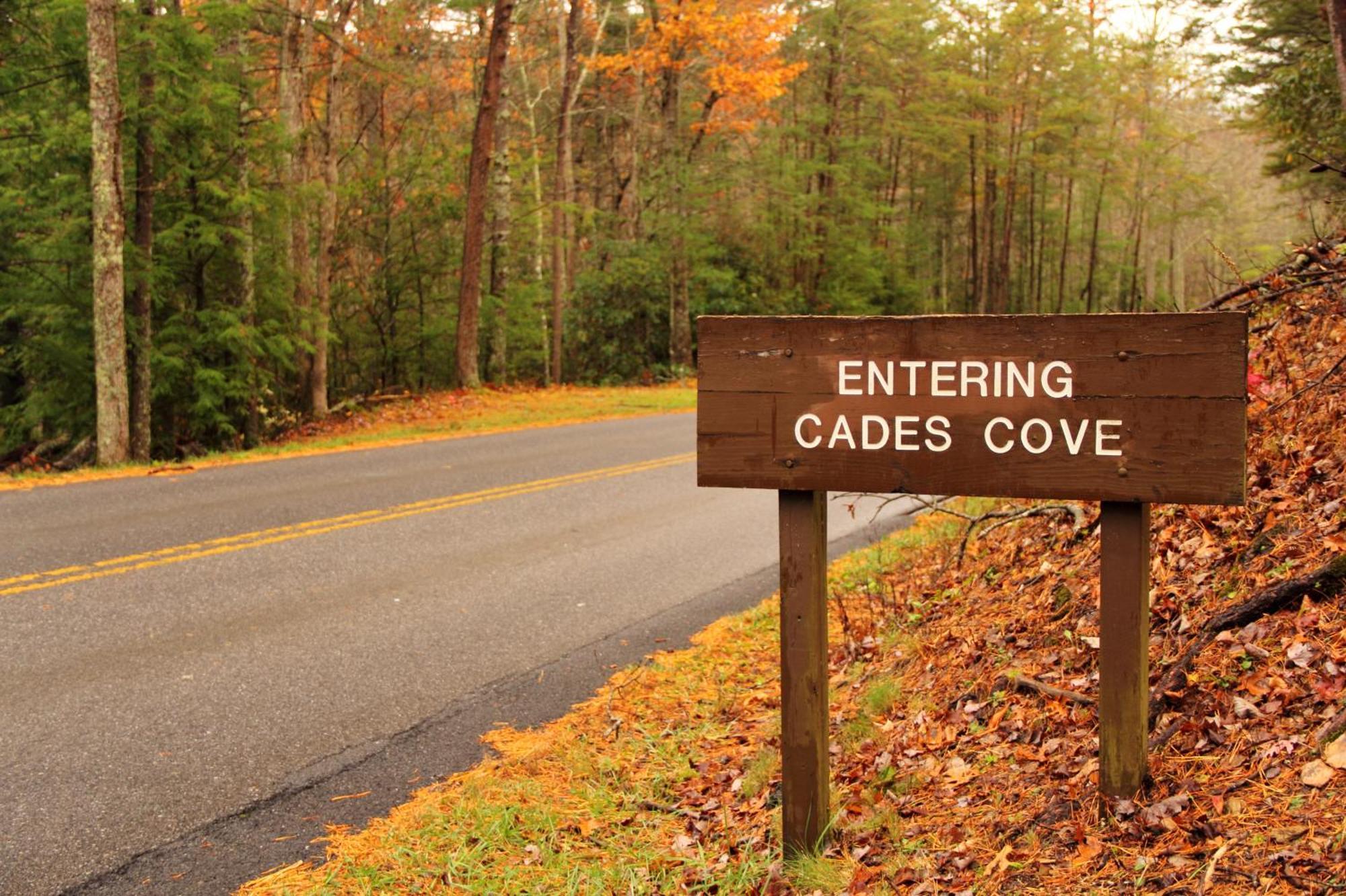 Hidden Memories, Hot Tub, 1089 Of Free Attraction Tickets For Each Paid Day, Dollywood And More Gatlinburg Eksteriør bilde